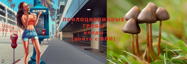 прущая мука Карталы