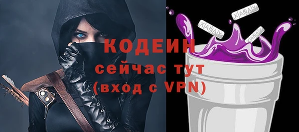индика Касимов