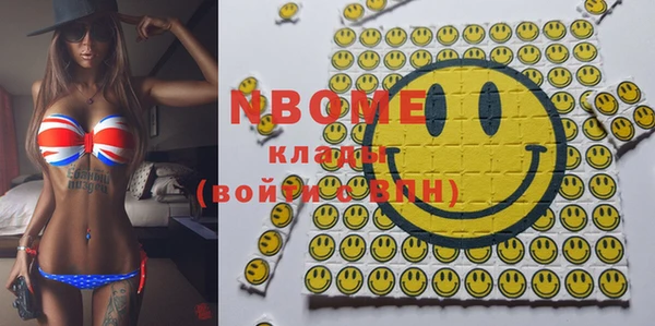 индика Касимов